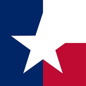 DallasProbateAttorneys.com - trust, wills, and estate disputes, contests, and litigation